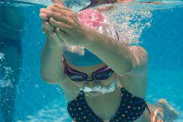 Similar image 2912431