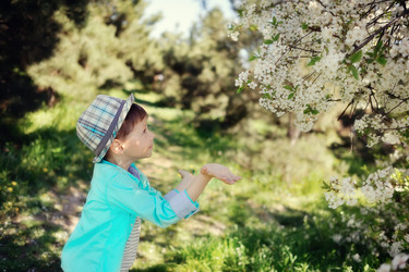 Similar image 2912470