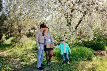 Similar image 2912540