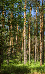 Similar image 2912547