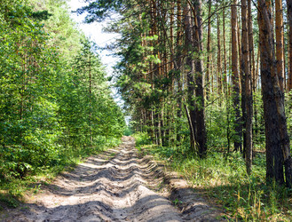 Similar image 2912549