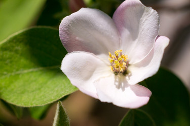 Similar image 2912555