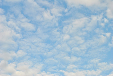 Similar image 2912560