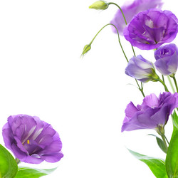 Similar image 2912577