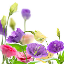 Similar image 2912580