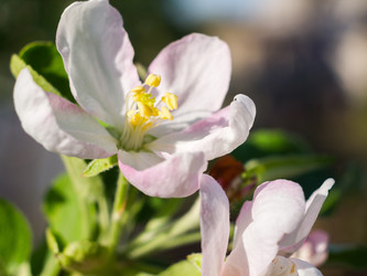 Similar image 2912596