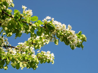 Similar image 2912597