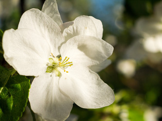 Similar image 2912598