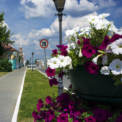 Similar image 2912608