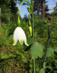 Similar image 2912629