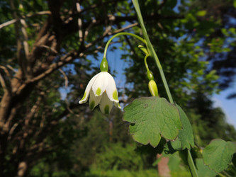 Similar image 2912630