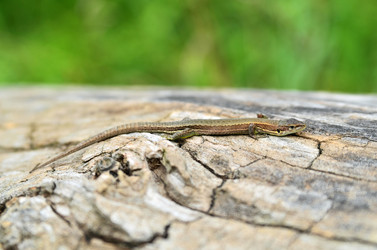 Similar image 2912643