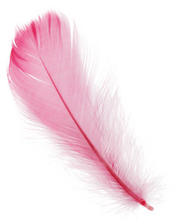 Similar image 2912657