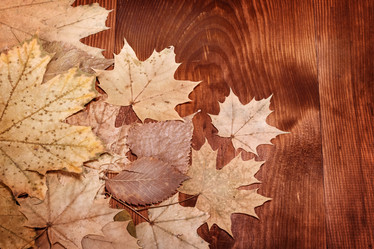 Similar image 2912662