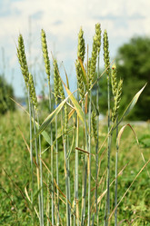 Similar image 2912664