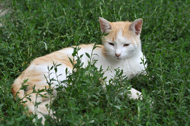 Similar image 2912665