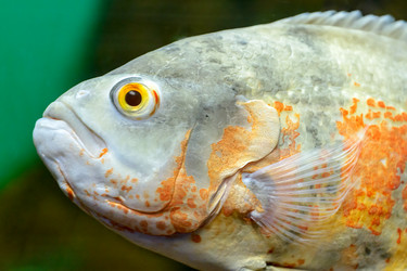 Similar image 2912667