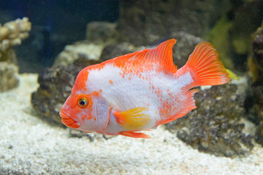 Similar image 2912687