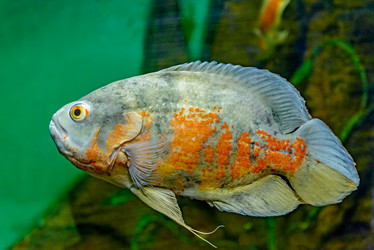 Similar image 2912688