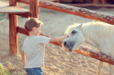 Similar image 2912708