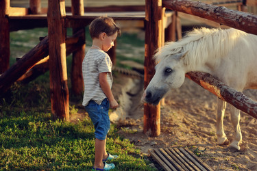 Similar image 2912711