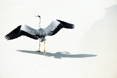 Similar image 2912916