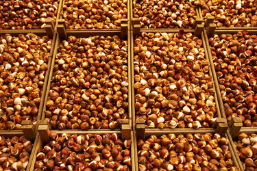 Similar image 2912918