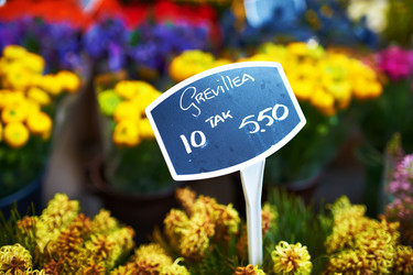 Similar image 2912920