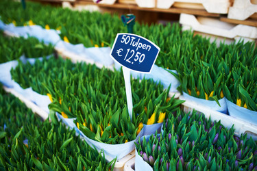 Similar image 2912921