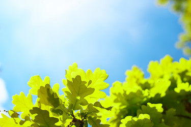 Similar image 2912940