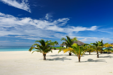 Similar image 2912944