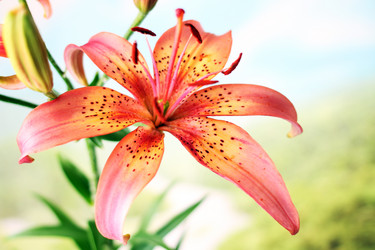 Similar image 2912948