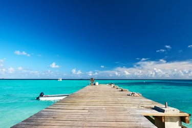 Similar image 2912985