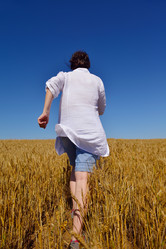 Similar image 2913278