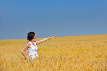 Similar image 2913354