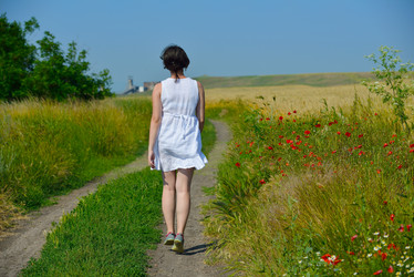 Similar image 2913357