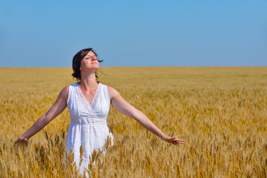 Similar image 2913368