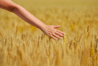 Similar image 2913371