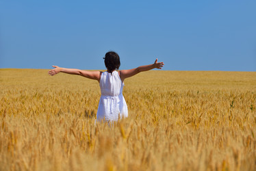 Similar image 2913393