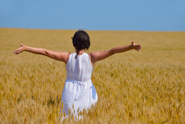 Similar image 2913394