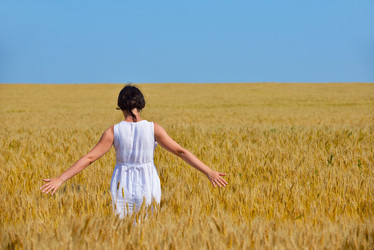 Similar image 2913396