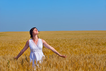 Similar image 2913399