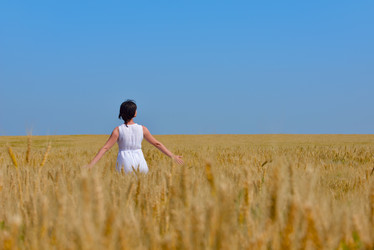 Similar image 2913407