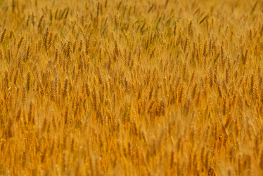 Similar image 2913420