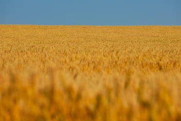 Similar image 2913423