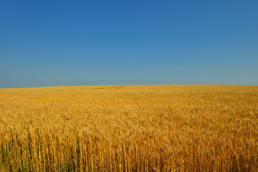 Similar image 2913439