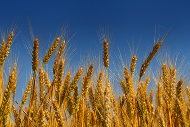 Similar image 2913444