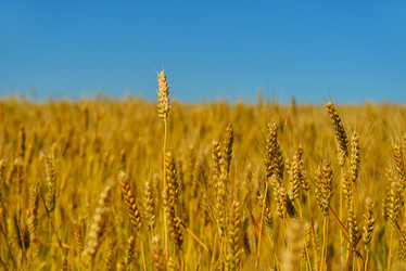 Similar image 2913478