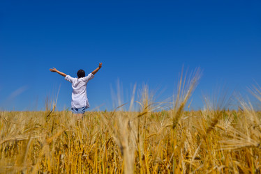 Similar image 2913573