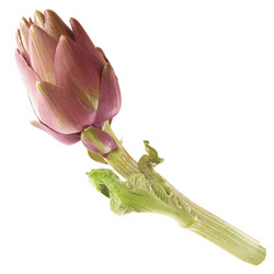 Similar image 2913620